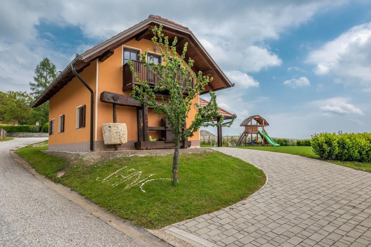 Willa Wineyard Getaway House Sevnica Zewnętrze zdjęcie