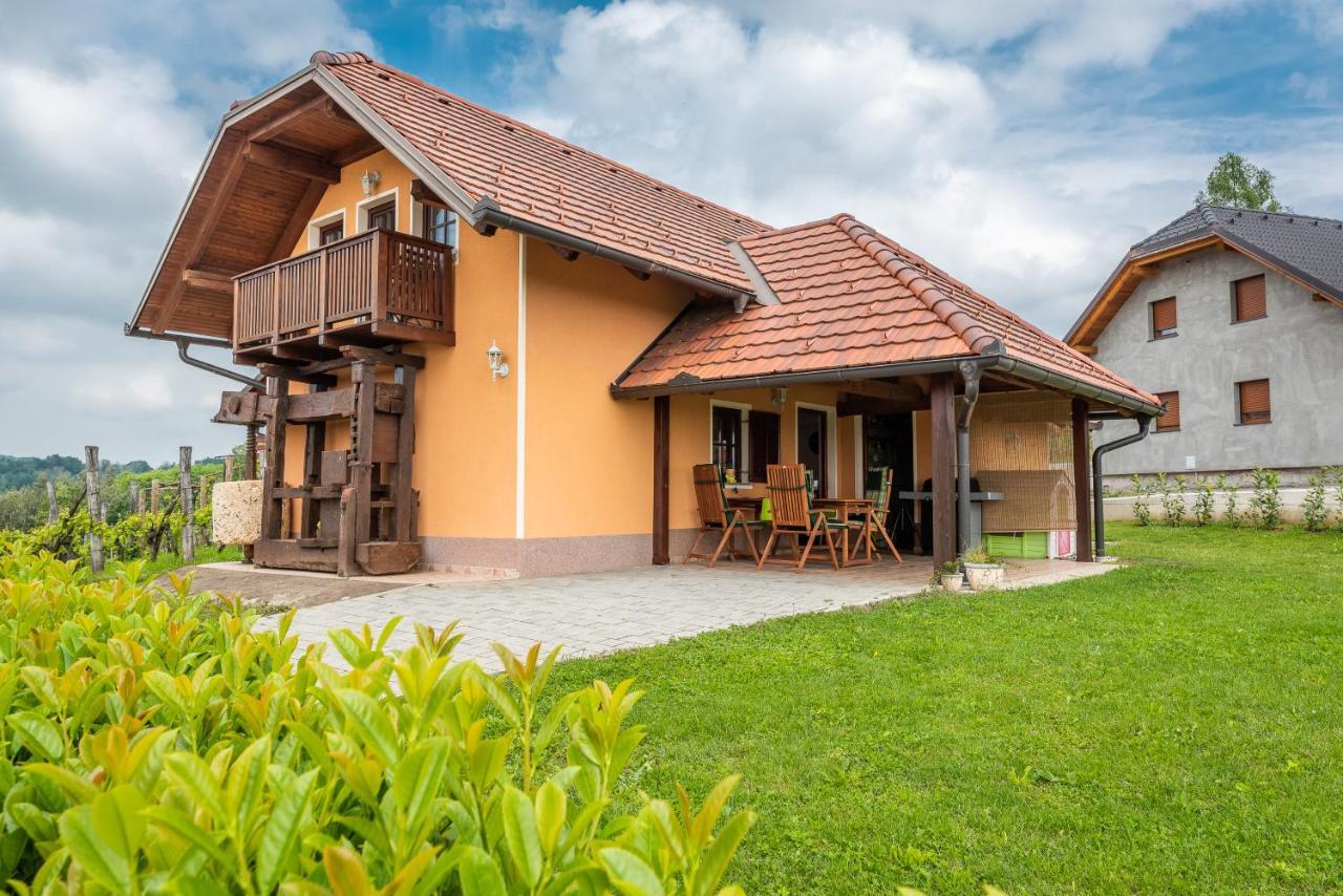Willa Wineyard Getaway House Sevnica Zewnętrze zdjęcie